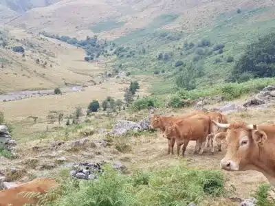 Livre d'Or | Maison Akasha Yoga Hautes-Pyrénées