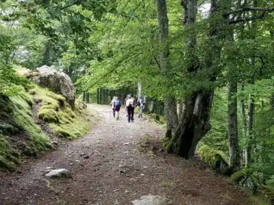 Livre d'Or | Maison Akasha Yoga Hautes-Pyrénées
