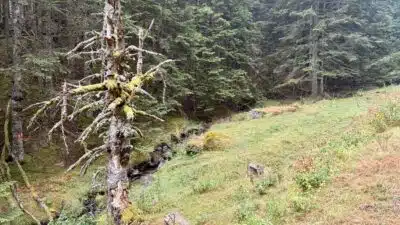 Livre d'Or | Maison Akasha Yoga Hautes-Pyrénées