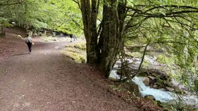 Livre d'Or | Maison Akasha Yoga Hautes-Pyrénées