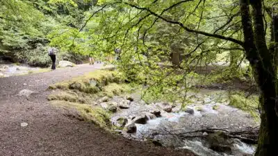 Livre d'Or | Maison Akasha Yoga Hautes-Pyrénées