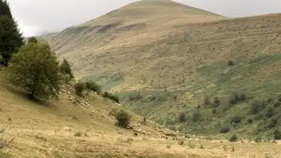 Livre d'Or | Maison Akasha Yoga Hautes-Pyrénées