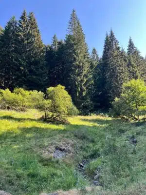 Livre d'Or | Maison Akasha Yoga Hautes-Pyrénées