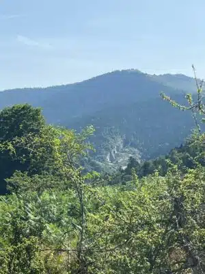 Livre d'Or | Maison Akasha Yoga Hautes-Pyrénées