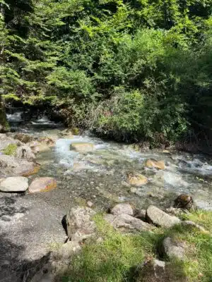 Livre d'Or | Maison Akasha Yoga Hautes-Pyrénées