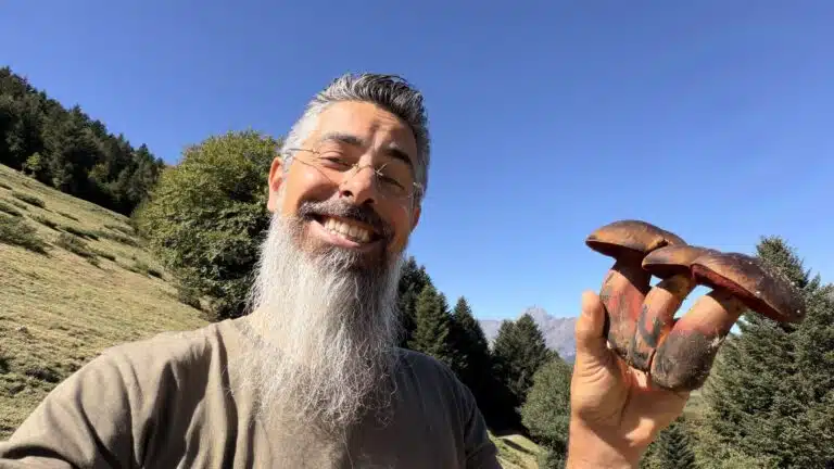 Livre d'Or - Maison Akasha Yoga Homme barbu hilare brandissant trois gros bolets fraîchement cueillis, sapins et ciel bleu des Hautes-Pyrénées derrière lui