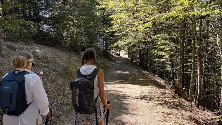 Livre d'Or - Maison Akasha Yoga Deux randonneuses vues de dos, sac au dos et bâtons, avançant sur un large chemin forestier baigné d'ombre et de lumière