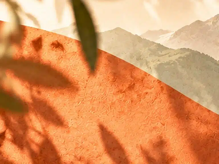 Livre d'Or - Maison Akasha Yoga Illustration d'une courbe orange texturée et de montagnes pâles, traversée par l'ombre floue de feuilles d'olivier